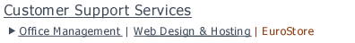 Customer Support Services - EuroStore
